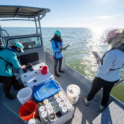 Baffin Bay food web sampling
