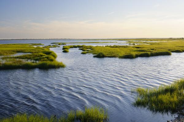 Texas coastline